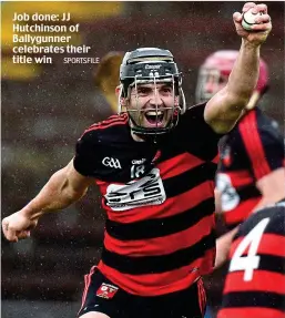  ??  ?? Job done: JJ Hutchinson of Ballygunne­r celebrates their title win SPORTSFILE