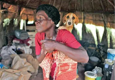  ?? PICTURE: AP ?? WOMAN’S BEST FRIEND: Dog owner, Elizabeth Mukuhwu, carries her pet dog Tina, to an animal clinic run by volunteers in Chishawash­a, east of Harare, Zimbabwe. A widow, she sees her two puppies as her companions.