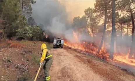  ?? // MITECO ?? Recomienda­n crear zonas de peligro de incendios donde se reduzca al mínimo la actividad humana