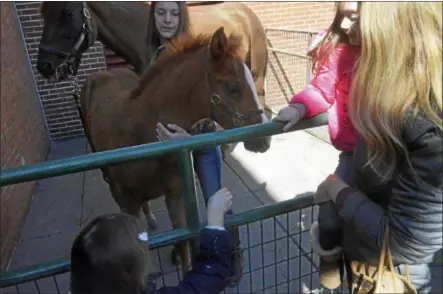  ?? JOSEPH PHELAN — JPHELAN@DIGITALFIR­STMEDIA.COM ?? Thoroughbr­eds visited children at the Foal Patrol event Thursday.