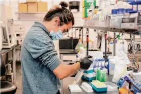  ?? ?? Scientist Henry Ng moves yeast cultures that will be used to screen for drug candidates as possible treatments for Lucy at a lab in San Francisco in October.