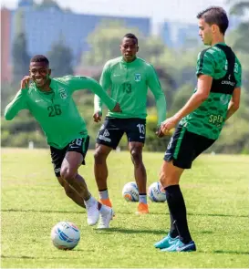  ?? FOTO ?? El técnico Paulo Autuori se fue preocupado por la sanción que impediría contratar refuerzos para 2019.