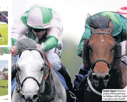  ??  ?? Nakeeta could be the one to be on in Ebor on Saturday Below Jack Dexter wins the 2012 William Hill Ayr Bronze Cup. He sadly died on Saturday Gold class? Mattmu ( right) will be panning for William Hill Ayr Gold Cup glory next month