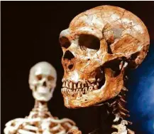  ?? Frank Franklin II/Associated Press ?? Reconstruç­ão de um crânio do homem de Neandertha­l