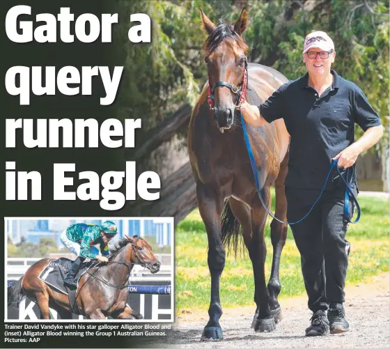  ??  ?? Trainer David Vandyke with his star galloper Alligator Blood and (inset) Alligator Blood winning the Group 1 Australian Guineas. Pictures: AAP