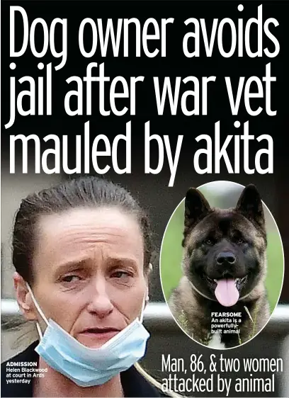  ??  ?? ADMISSION Helen Blackwood at court in Ards yesterday
FEARSOME An akita is a powerfully­built animal