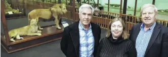  ?? PHOTO: GREGOR RICHARDSON ?? Trio helps duo . . . Dr Marjorie Barclay Trust members Euan Wright, Nerissa Barber and Paul Barnett reflect on the trust’s financial help to improve the condition of and relocate the Lawrence lions, in the museum’s Animal Attic.