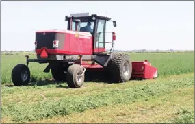  ?? PHOTO BY CHING LEE ?? Yolo County farmer Jeff Merwin harvested his first cutting of alfalfa last week, which he said is about a month behind schedule.