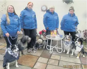  ??  ?? TEAM EFFORT The dogs and their handlers were delighted with the performanc­es