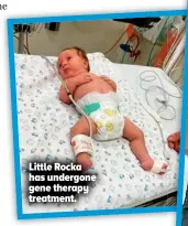  ?? ?? Little Rocka has undergone gene therapy treatment.