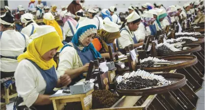  ??  ?? SURABAYA: This picture taken on Jan 6, 2017 shows Indonesian workers hand-rolling clove cigarettes at the PT Wismilak Inti Makmur factory. — AFP