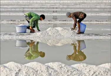  ?? REUTERS ?? Labourers collect salt in a salt pan in Mumbai, on Monday.