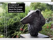  ??  ?? A sculpture of Bobbie the wonder dog at the Oregon Garden in Silverton.