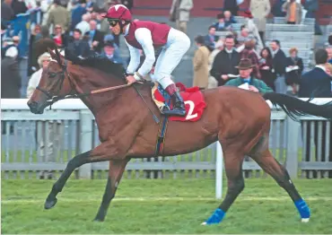  ??  ?? Flemensfir­th, the new National Hunt champion sire, won two Group Ones in his heyday on the track