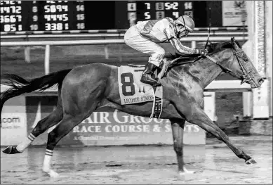  ?? LOU HODGES JR./HODGES PHOTOGRAPH­Y ?? Guest Suite, winner of the Lecomte, will be among the favorites in next week’s Risen Star.