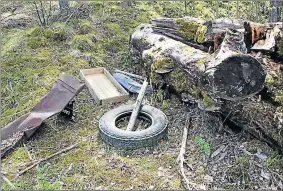  ??  ?? SOPGÖMMOR. Ibland hittar man större mängder avfall som dumpats i naturen.