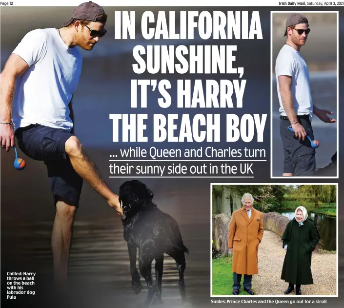  ??  ?? Chilled: Harry throws a ball on the beach with his labrador dog Pula
Smiles: Prince Charles and the Queen go out for a stroll