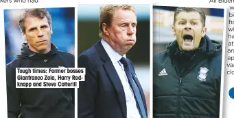  ??  ?? Tough times: Former bosses Gianfranco Zola, Harry Redknapp and Steve Cotterill