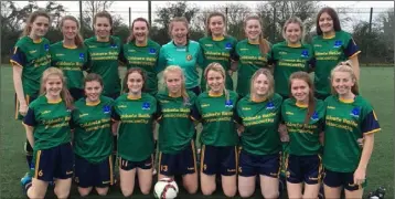  ??  ?? The victorious Coláiste Bríde (Enniscorth­y) team before Friday’s impressive victory.