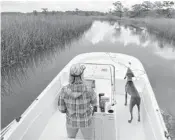  ?? KEVINSPEAR/ORLANDOSEN­TINEL PHOTOS ?? GeorgiaAck­erman, directorof theApalach­icola Riverkeepe­r group, tours thewaters of the river’s final stretch at the Apalachico­la Bay.