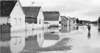  ??  ?? Zbrajanje štete Rastu i Vuka i Karašica pa kada se vodni val slije u Dravu, u utorak ili srijedu, Slavonci će moći zbrajati štetu