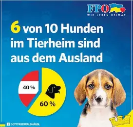  ??  ?? Daran kommt man nicht vorbei: Die FPÖ setzt auf allen Ebenen auf die Heimat, will Inland und Brauchtum fördern und den Heimatbegr­iff in der Landesverf­assung festschrei­ben.