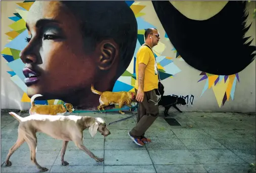  ?? (AP/Natacha Pisarenko)1 ?? A man walks dogs Nov. 11 past a mural of a young Afro-Argentine by Nicolas Germani and Sasha Reisin, who are collective­ly known as Primo, in Buenos Aires, Argentina.