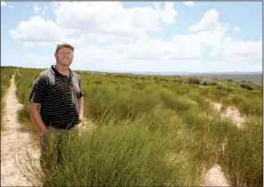  ?? Bloomberg NEWS/MICHAEL COHEN ?? Willie Nel, a rooibos tea farmer, stands in his tea fields on his farm near Clanwillia­m, South Africa, in February.