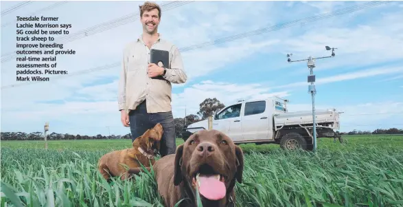  ??  ?? Teesdale farmer
Lachie Morrison says 5G could be used to track sheep to improve breeding outcomes and provide real-time aerial assessment­s of paddocks. Pictures: Mark Wilson