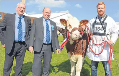  ?? Picture: Chris McCullough. ?? Balmoral Simmental judge Iain Green, of Corskie, centre, with his chosen champion held by Christophe­r Weatherup. Also pictured is Neil Shand, of the British Simmental Cattle Society.