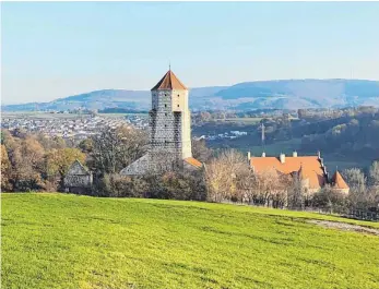  ?? FOTO: HEIMATVERE­IN NIEDERALFI­NGEN ?? Das Herzblut der Niederalfi­nger hängt an ihrer Marienburg.