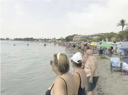  ?? ?? Aktivisten: Das Fischsterb­en könnte sich jederzeit wiederhole­n.
Foto: Pacto por el Mar Menor