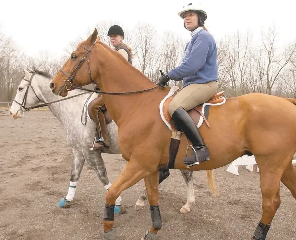  ?? CATHERINE MEREDITH/TMC ?? Animal care organizati­ons like Bucks County Horse Park are asking for your assistance this holiday season.