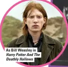  ?? ?? As Bill Weasley in Harry Potter And The Deathly Hallows