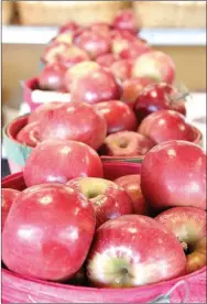  ?? LYNN KUTTER ENTERPRISE-LEADER ?? These Jonathan apples were picked from Vanzant Fruit Farm near Lowell. They are available at the Vanzant fruit market on Highway 264.