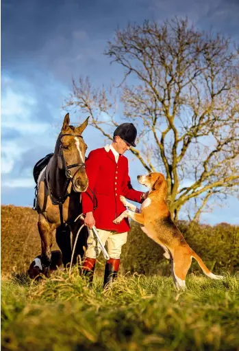  ??  ?? Top: Pytchley huntsman Daniel Cherriman and hound.