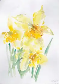  ?? Submitted photo ?? ■ “Three Yellow Daffodils,” by Emily Wood.