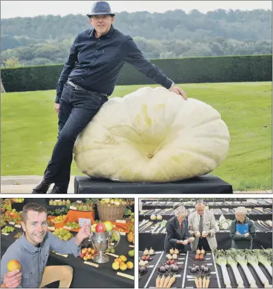  ?? PICTURES: GARY LONGBOTTOM/PA WIRE ?? BIG IDEAS: Above, Graham Barrat from Gloucester with a giant pumpkin weighing in at 319.8kg; left, David Patch from Rogers of Pickering, winner of the Premier Gold Award; right, judges busy at the Harrogate Autumn Flower Show.