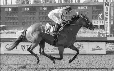  ?? BENOIT PHOTO ?? Marley’s Freedom wins the Great Lady M. Stakes on Saturday at Los Alamitos by 1 1/2 lengths.