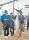  ??  ?? WHAT A WHOPPER!: Jonathan Hill and skipper Brandon Kennedy caught this yellowfin tuna weighing 91.5kg