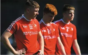  ??  ?? Ruairi Hanlon, Sean Healy and Craig Shevlin all impressed for Louth in last week’s dramatic draw with Wicklow.