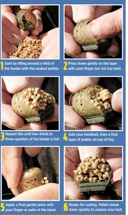 ??  ?? 1 Start by filling around a third of the feeder with the soaked pellets. 3 Repeat this until two-thirds to three-quarters of the feeder is full. 5 Apply a final gentle press with your finger or palm of the hand. 2 Press down gently on the layer with...
