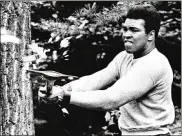  ?? RUSTY KENNEDY / AP ?? Ali chops at a tree as he prepared for a rematch against Ken Norton in 1973. Ali geared up for some of his most famous fights at the Deer Lake camp. “Ali loved it up there,” said longtime business manager, Gene Kilroy.