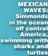  ??  ?? MEXICAN WAVES: Simmonds in the ocean off central America, swimming with sharks and turtles