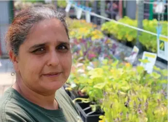  ?? AMY PATAKI/TORONTO STAR ?? Parm Singh introduced Indian vegetables such as tulsi (holy basil) and chappan kaddu (round summer squash) to Humber Nurseries in Brampton, just off of Hwy. 50. Signage is in English and Hindi.