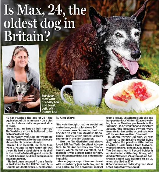  ??  ?? Survivor: Max with his daily tea and toast. Left: With owner Lisa