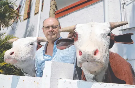  ?? Picture: GLENN HAMPSON ?? One of Richard Cavill’s prized fibreglass cows was stolen from Cav's Steakhouse at the weekend. He wants it back, “no questions asked".
