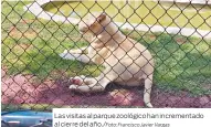  ?? Francisco Javier Vargas ?? Las visitas al parque zoológico han incrementa­do al cierre del año./Foto: