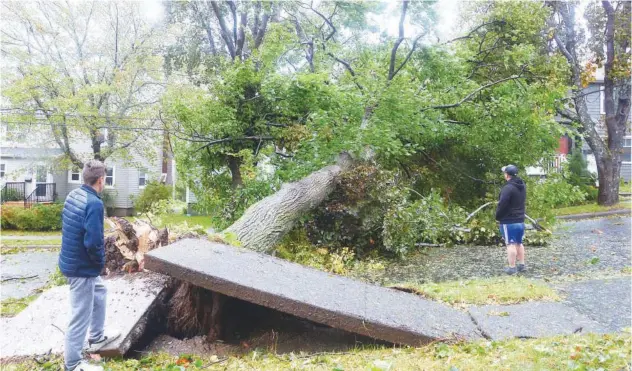  ?? Associated Press ?? ±
Pedestrian­s survey the damage caused by post-tropical storm Fiona in Sydney, Nova Scotia, Canada, on Saturday.