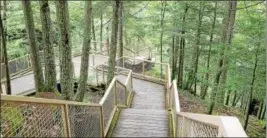  ?? PAUL POST — PPOST@DIGITALFIR­STMEDIA.COM ?? Stairs through the woods provide viewing access for the 80-foot high Mine Kill Falls.